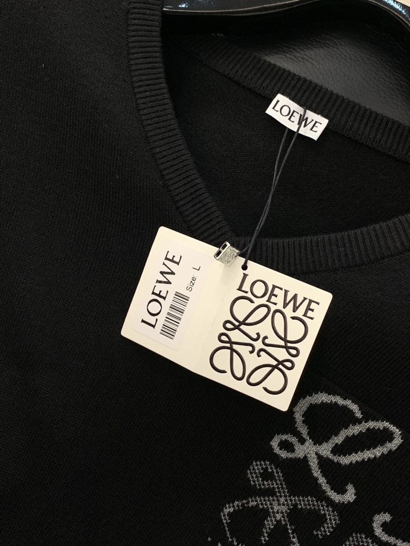 Loewe Sweaters